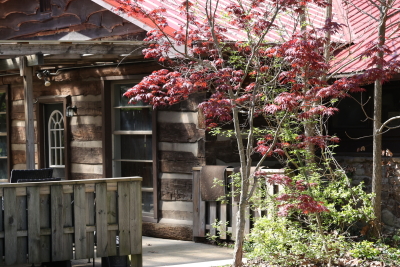 brown county indiana vacation cabin